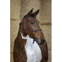 LICOL ?THOLOGIQUE NORTON "CORDE/SYNTH?TIQUE"