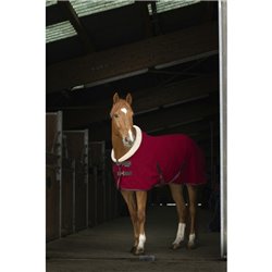 Chemise polaire EQUITH?ME "Teddy"