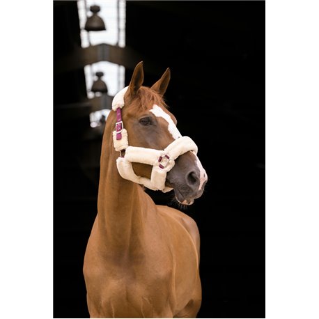 Licol EQUITH?ME "Teddy"