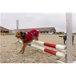 Couverture polaire DIEGO & LOUNA "TEDDY" 2