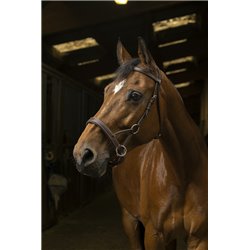 Side-pull NORTON PRO "Confort" 2