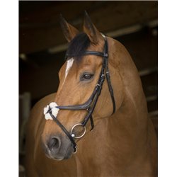 Bridon NORTON PRO ? muserole crois?e