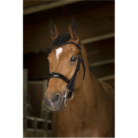 Bride NORTON PRO, cuir rond