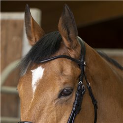 Bride NORTON PRO, cuir rond 2