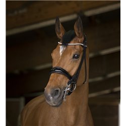 Bride NORTON PRO "Shiny"