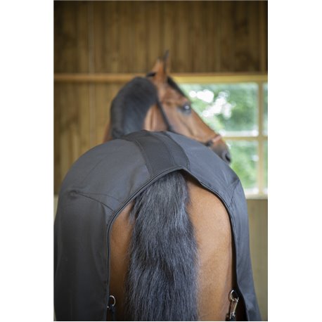 Chemise PADDOCK "Light Mesh"