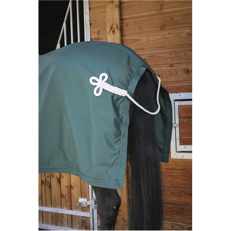 Chemise PADDOCK "Pr?sentation"