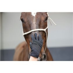 Gants d'entrainement RACER? "Evolution"