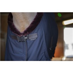 Chemise s?chante EQUITH?ME "Teddy" 2