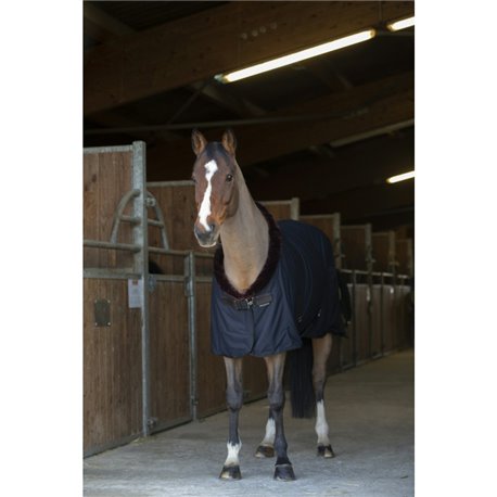 Chemise s?chante EQUITH?ME "Teddy"