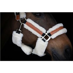 Licol PENELOPE "Soft" 2