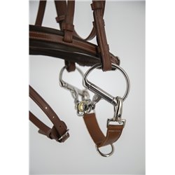 Alliance PENELOPE "Alliance"