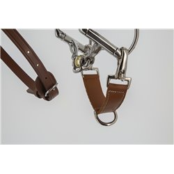 Alliance PENELOPE "Alliance" 2