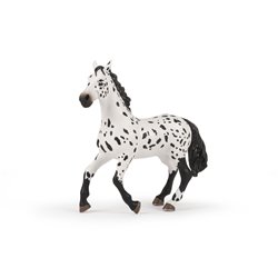 Grand cheval appaloosa PAPO