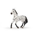 Grand cheval appaloosa PAPO