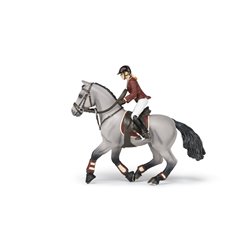 Cheval de concours et sa cavali?re PAPO