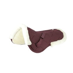 Amortisseur EQUITH?ME "Pro air" 2