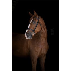 Bridon ERIC THOMAS ELITE "Londres"