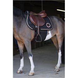 Bande de respect NORTON 2