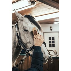 Brosse de t?te BORSTIQ 2