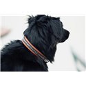 Collier pour chien PENELOPE "Point Sellier"