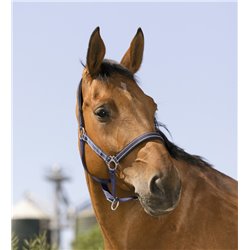 Licol NORTON "Reflective" 2