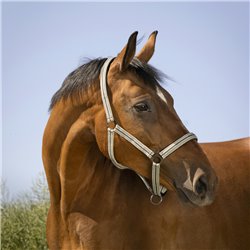 Licol NORTON "Bouclerie noire" 2