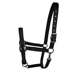 Licol LAMI-CELL "Sparkling" 2