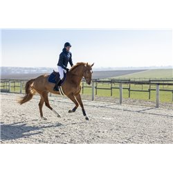 Veste matelass?e PRO SERIES "Diagonal"