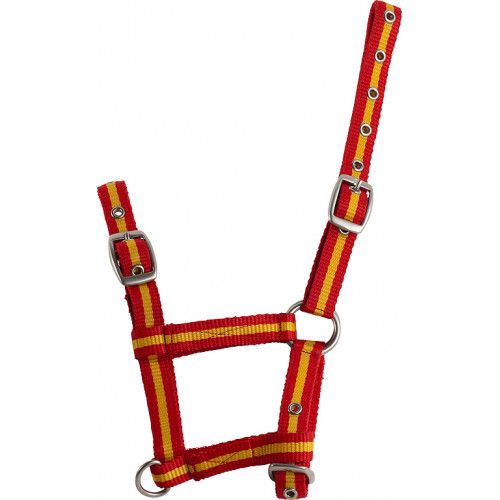 Licol foal r?glable 2