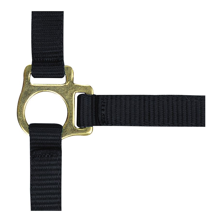 Licol nylon