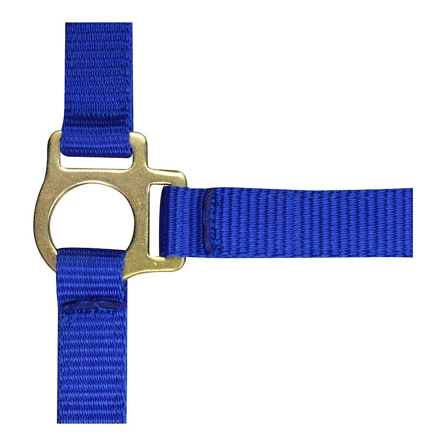 Licol nylon