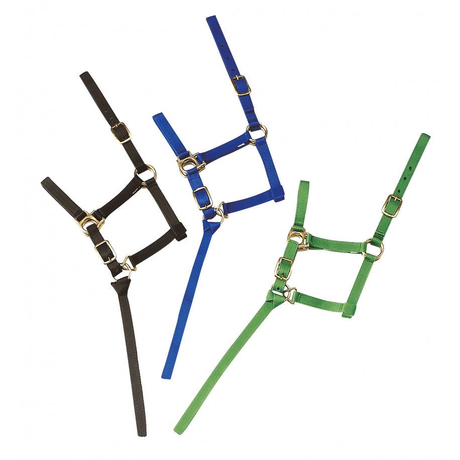 Licol nylon