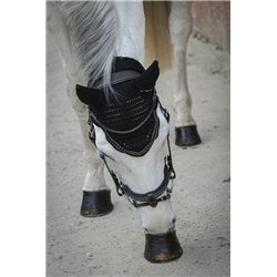 BONN.CH-M.New Strass 2