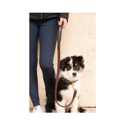 Laisse chien PENELOPE Rubber