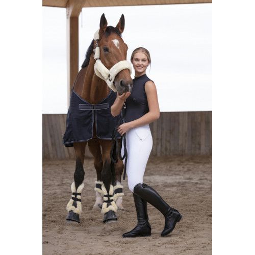 Licol EQUITH?ME "Teddy" 2