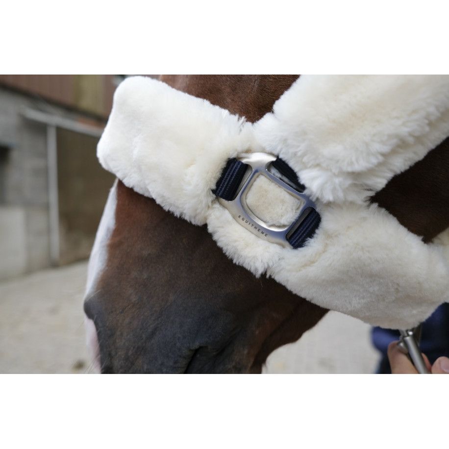 Licol EQUITH?ME "Teddy"