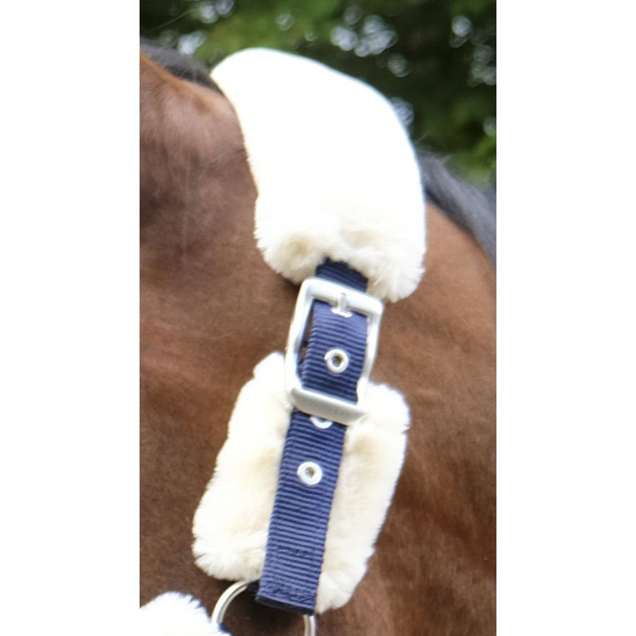 Licol EQUITH?ME "Teddy"