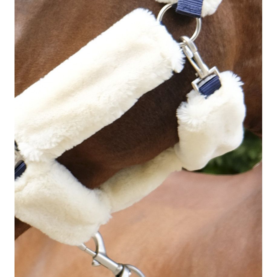 Licol EQUITH?ME "Teddy"