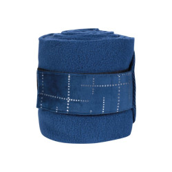 Bandes polaires -Port Royal HKM 2