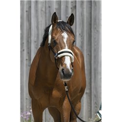 Licol RIDING WORLD mouton synth?tique