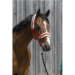 Licol RIDING WORLD mouton synth?tique 2