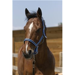 Licol NORTON "Satine" 2