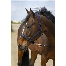 Licol EQUITH?ME "Nylon Strass" 2