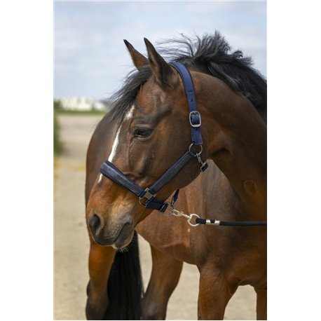 Licol EQUITH?ME "Nylon Strass"