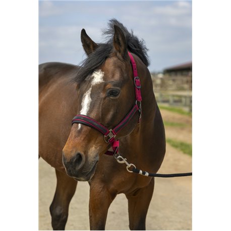 Licol EQUITH?ME "Nylon Strass"