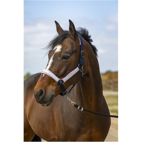 Licol EQUITH?ME "Nylon Check"