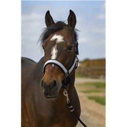 Licol EQUITH?ME "Nylon Check" 2