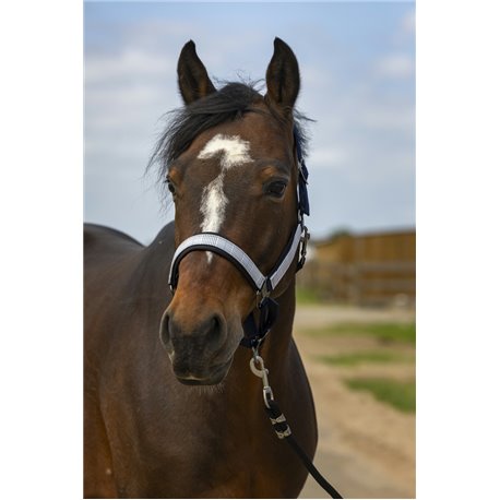 Licol EQUITH?ME "Nylon Check"