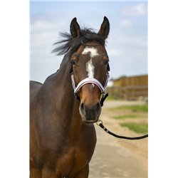 Licol EQUITH?ME "Nylon Check" 2